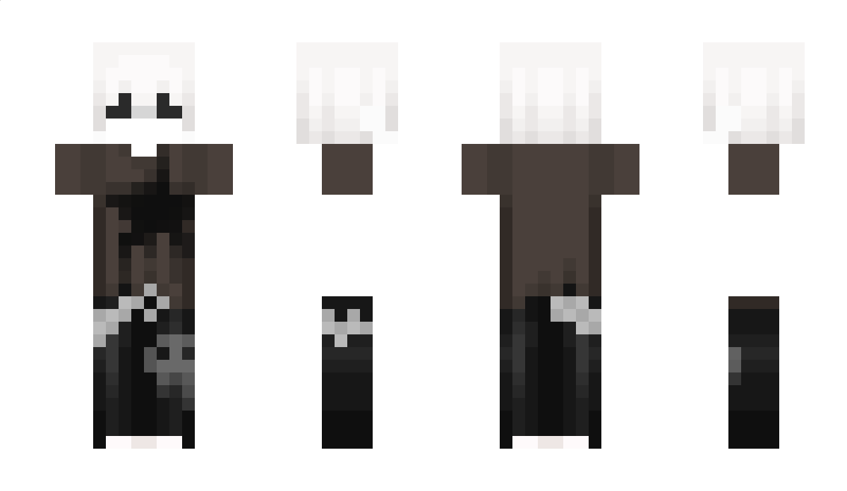 accidentallife Minecraft Skin