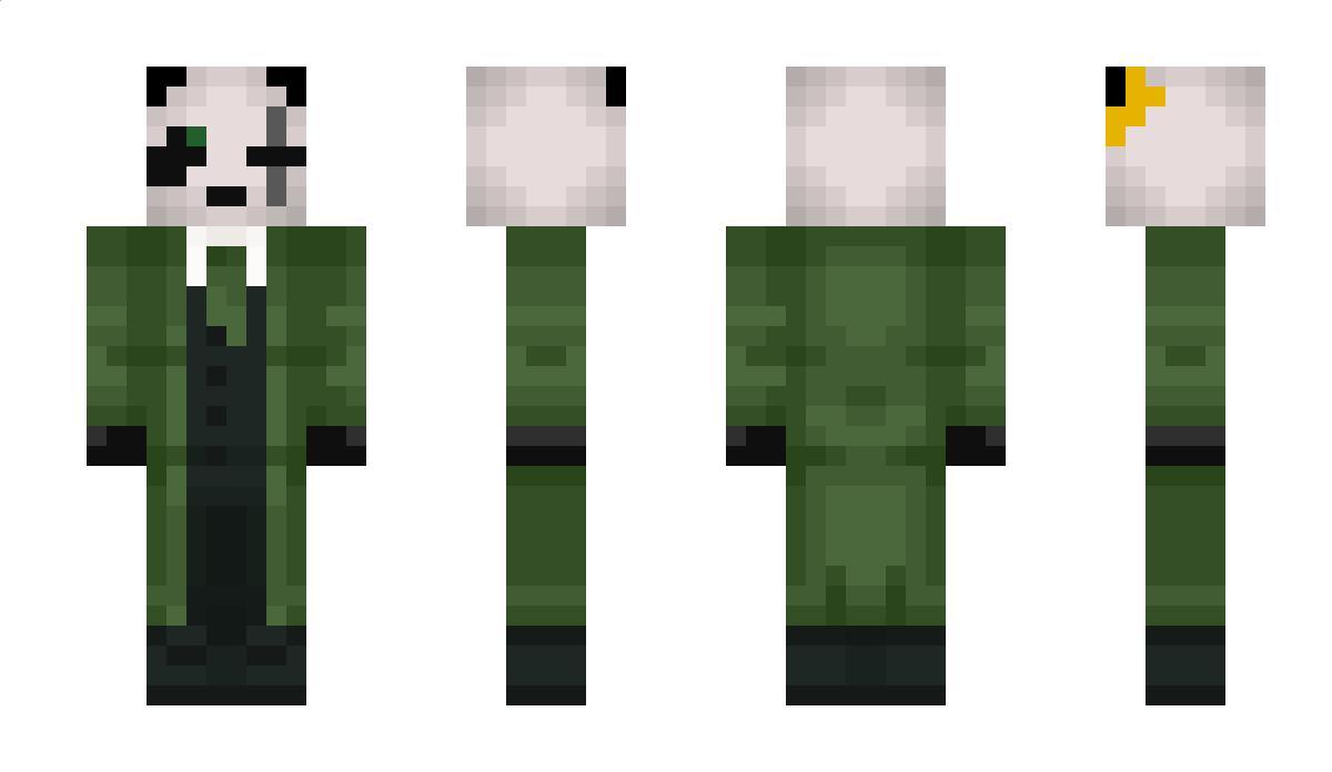 anystranger Minecraft Skin