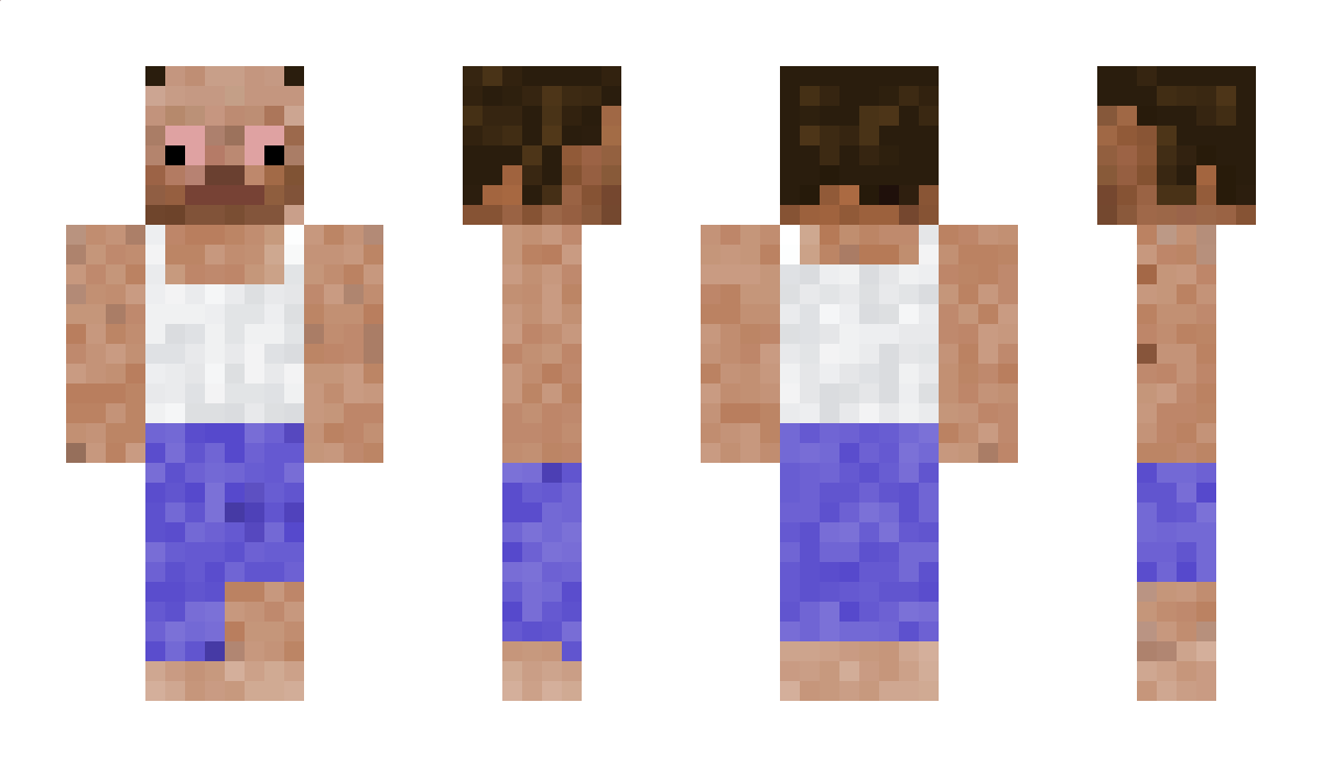 Account864 Minecraft Skin