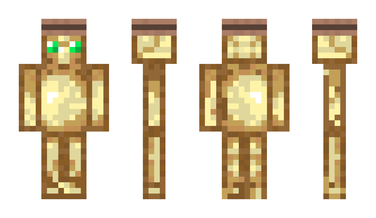 totemofundying_ Minecraft Skin