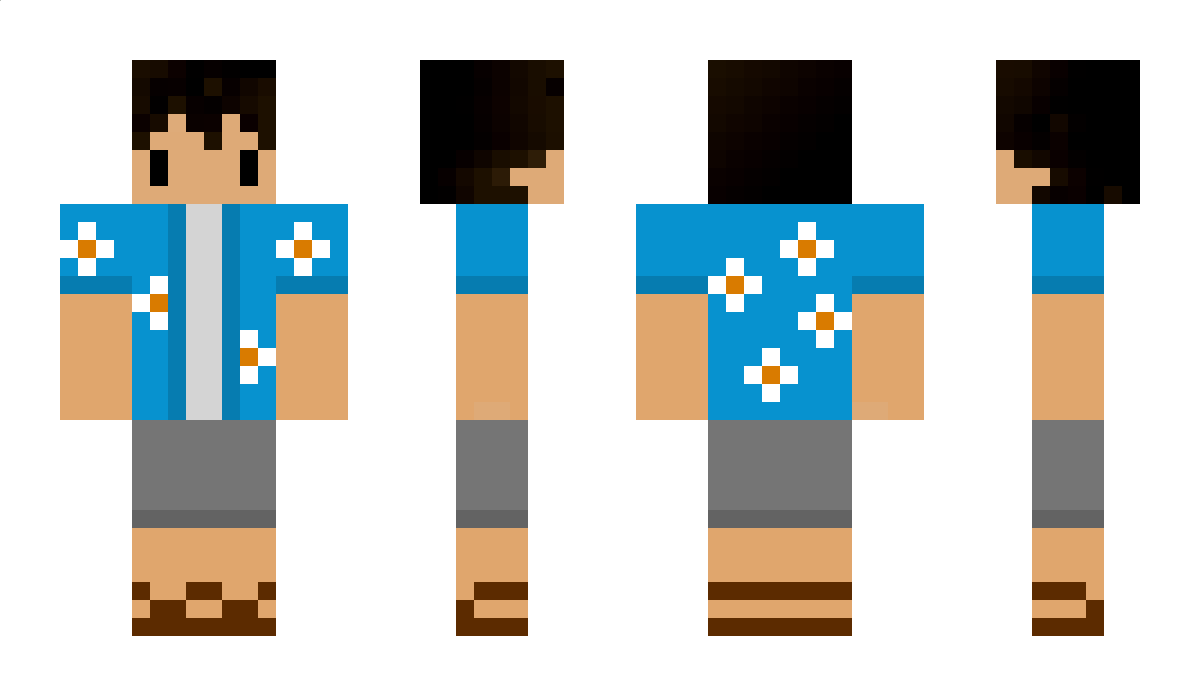 Finott Minecraft Skin