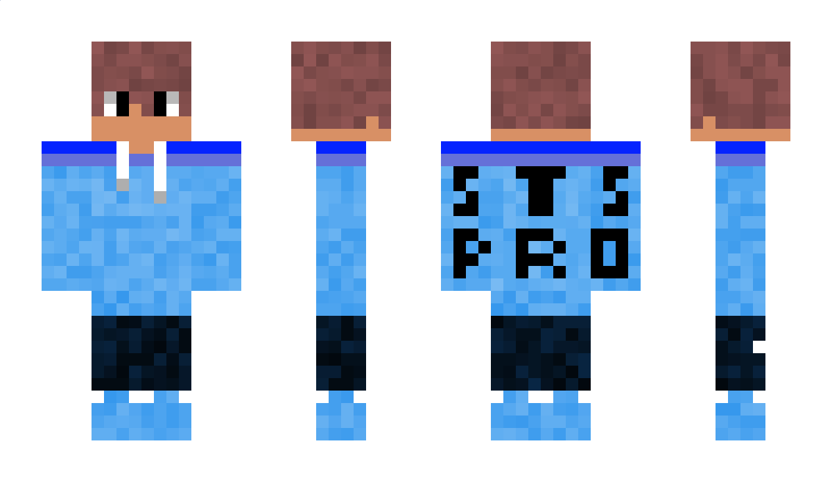 stslink999 Minecraft Skin