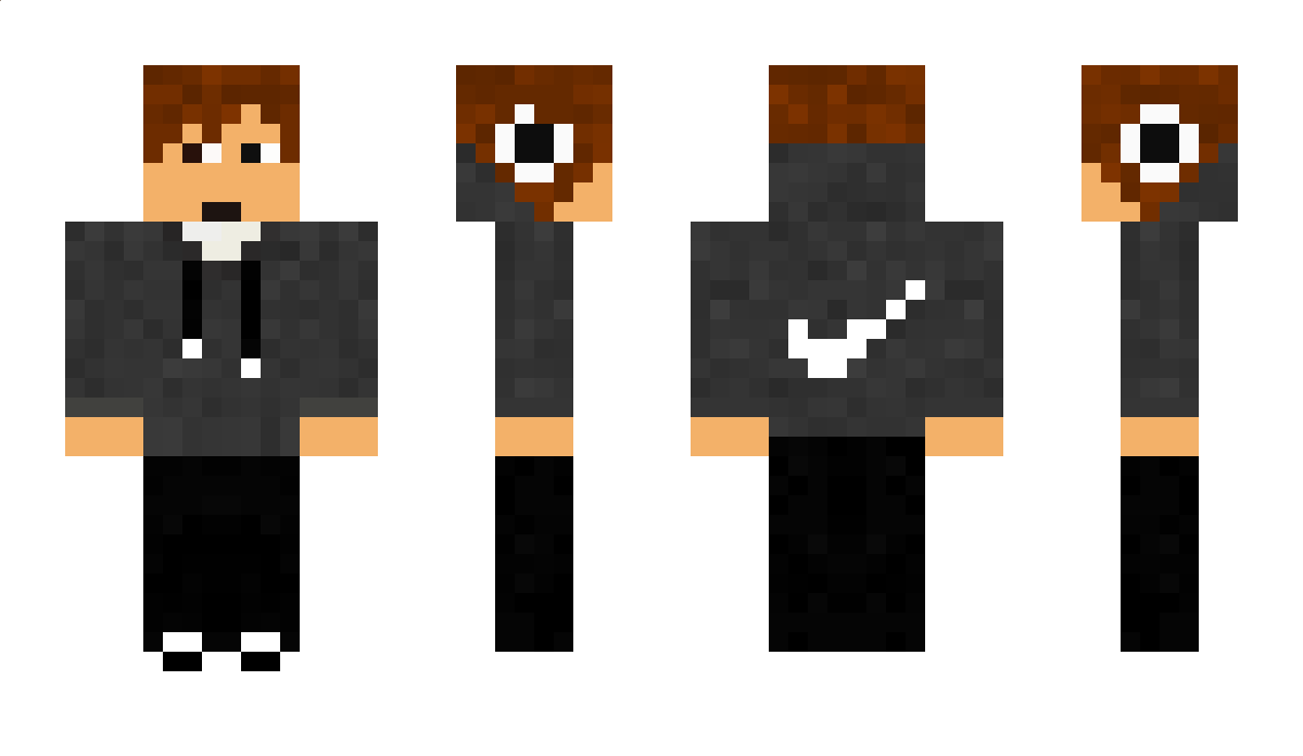 313 Minecraft Skin