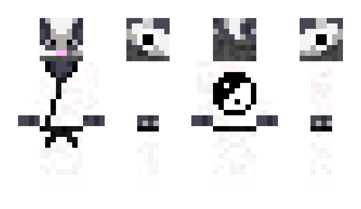 Fr4shD4chs Minecraft Skin