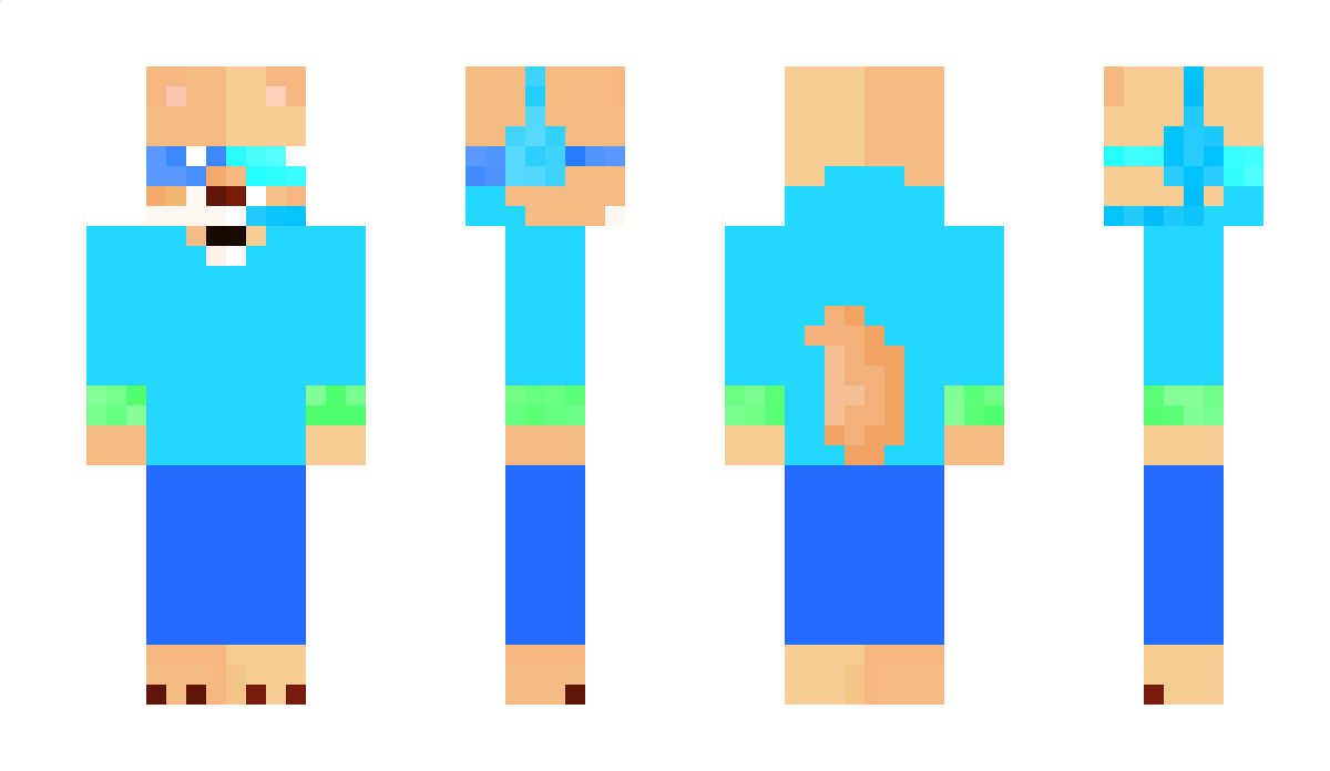 RapidWater Minecraft Skin