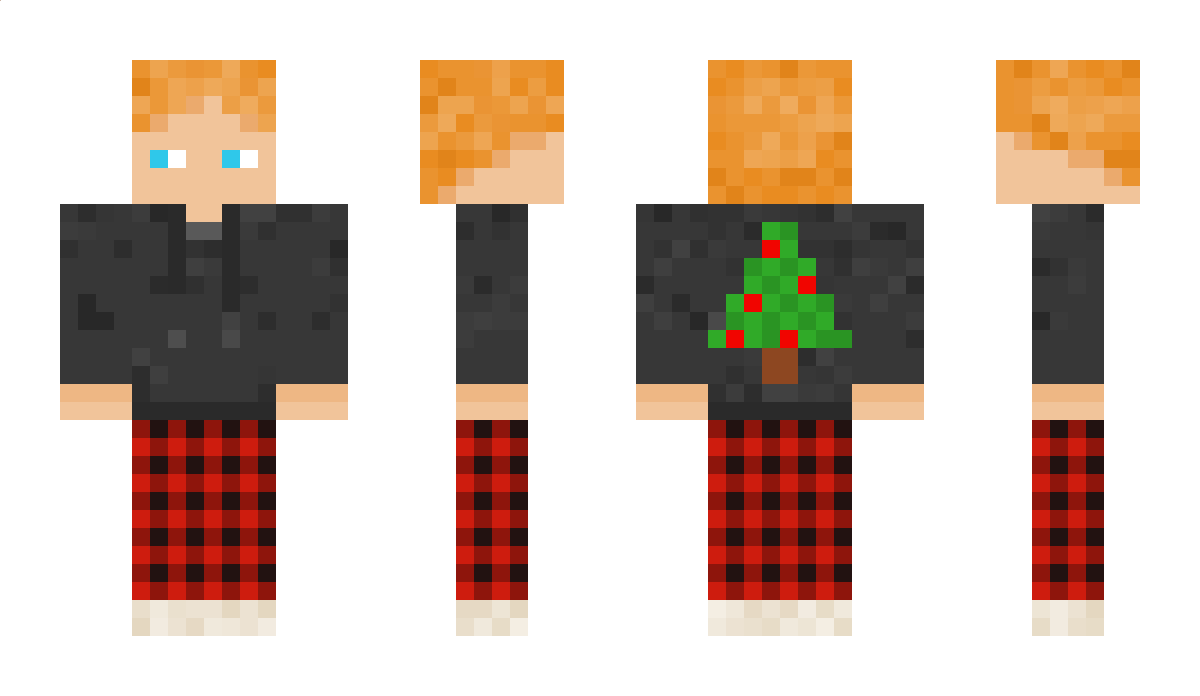TimsiTamsi Minecraft Skin