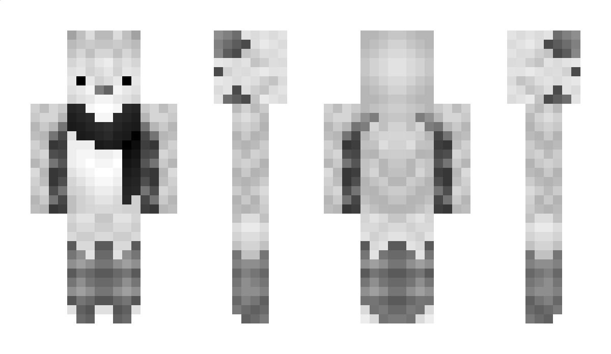 Sneeuw Minecraft Skin