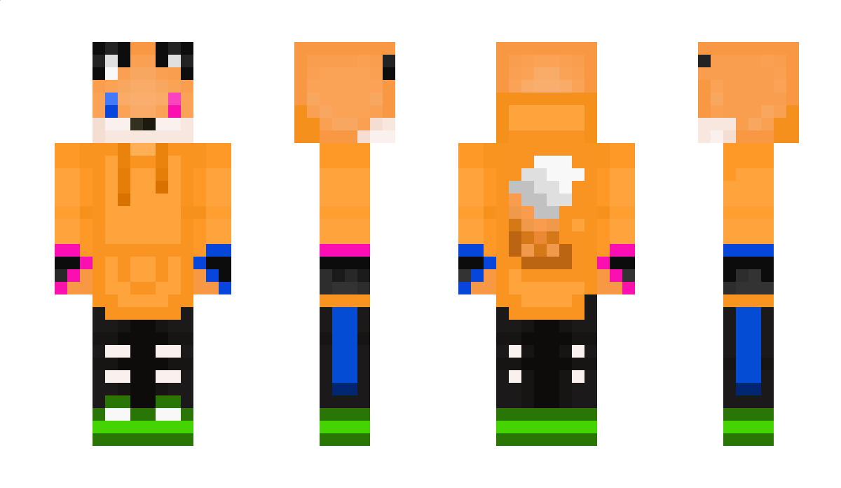 FoxDTPlays Minecraft Skin