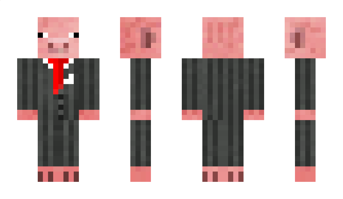 ruji_ Minecraft Skin