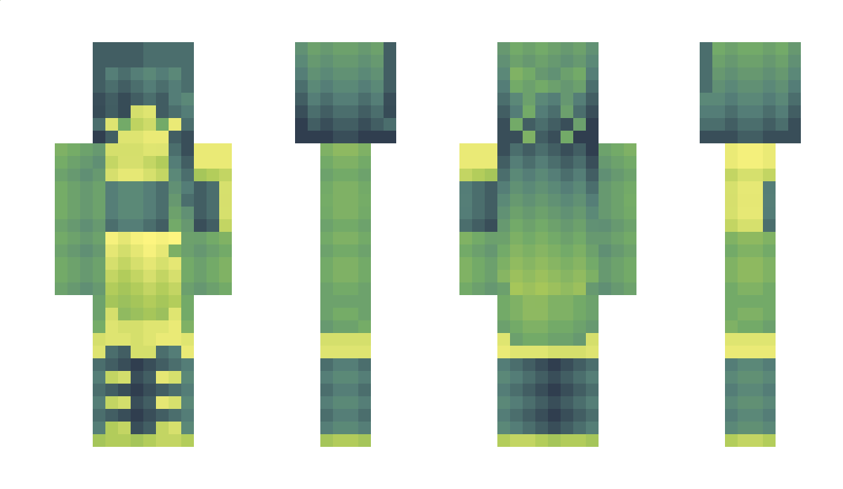 Pomikotti Minecraft Skin