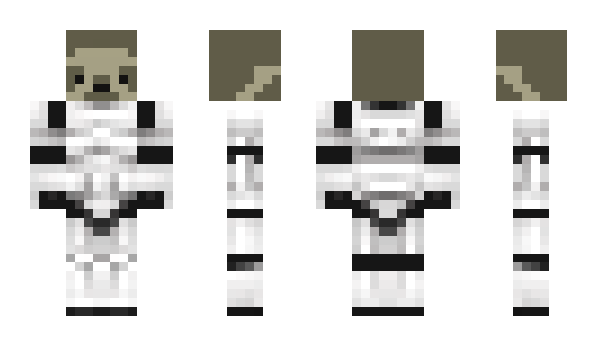 VaultDweller Minecraft Skin