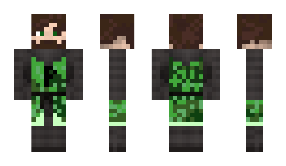 PaRaPiXeL1993 Minecraft Skin