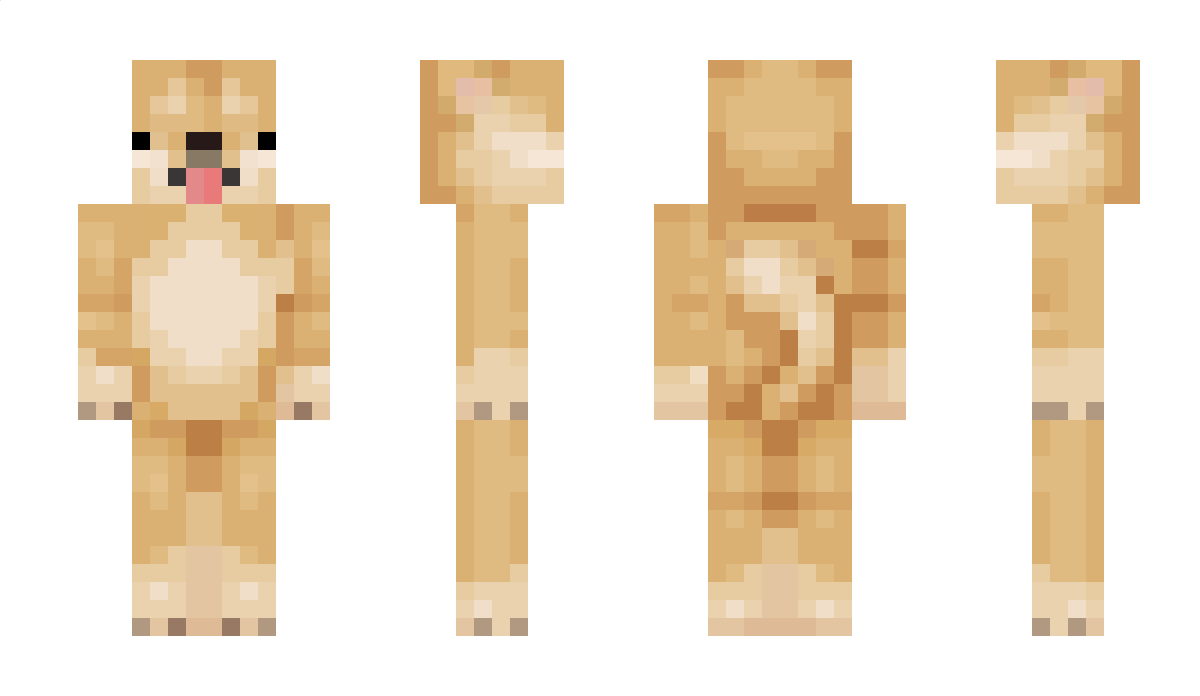 dreamer63 Minecraft Skin