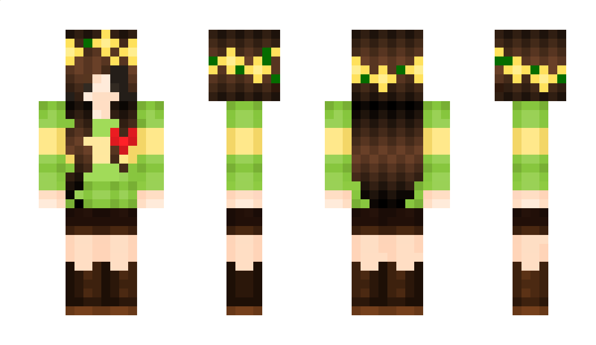 Caracteristica Minecraft Skin