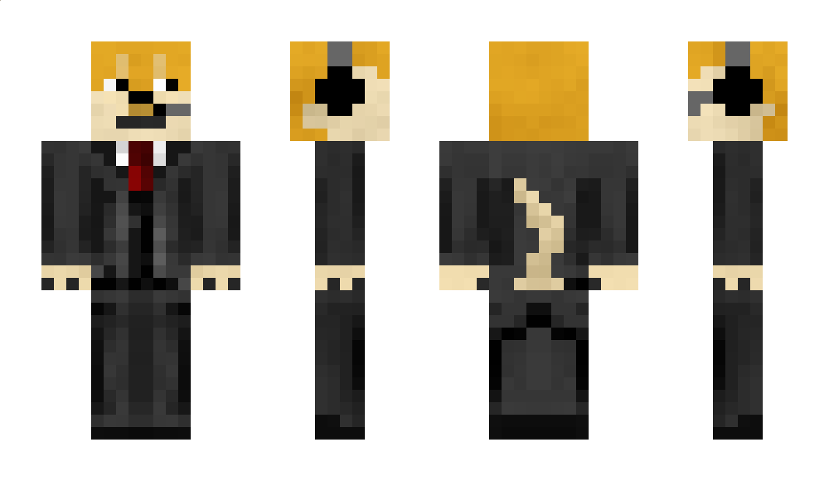 DogeCoin Minecraft Skin