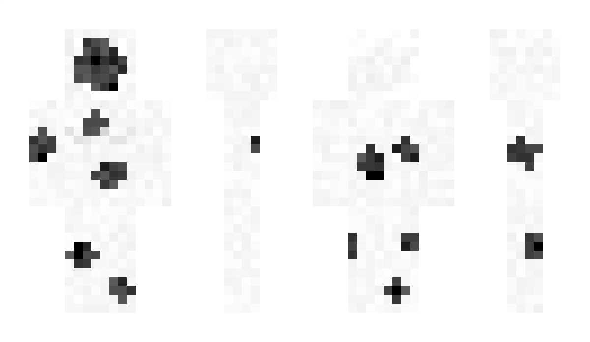 Serdar_11 Minecraft Skin