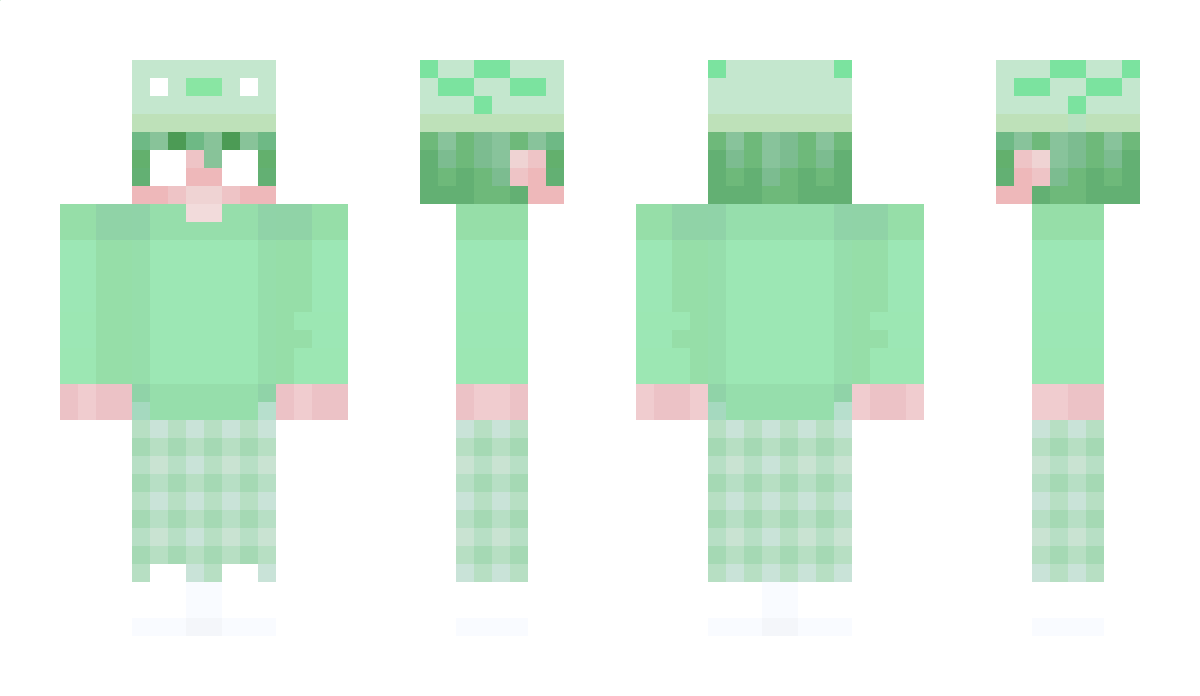 Maxidar Minecraft Skin