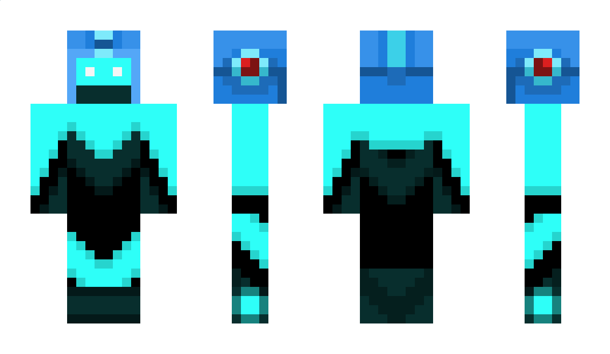 ndwinter Minecraft Skin