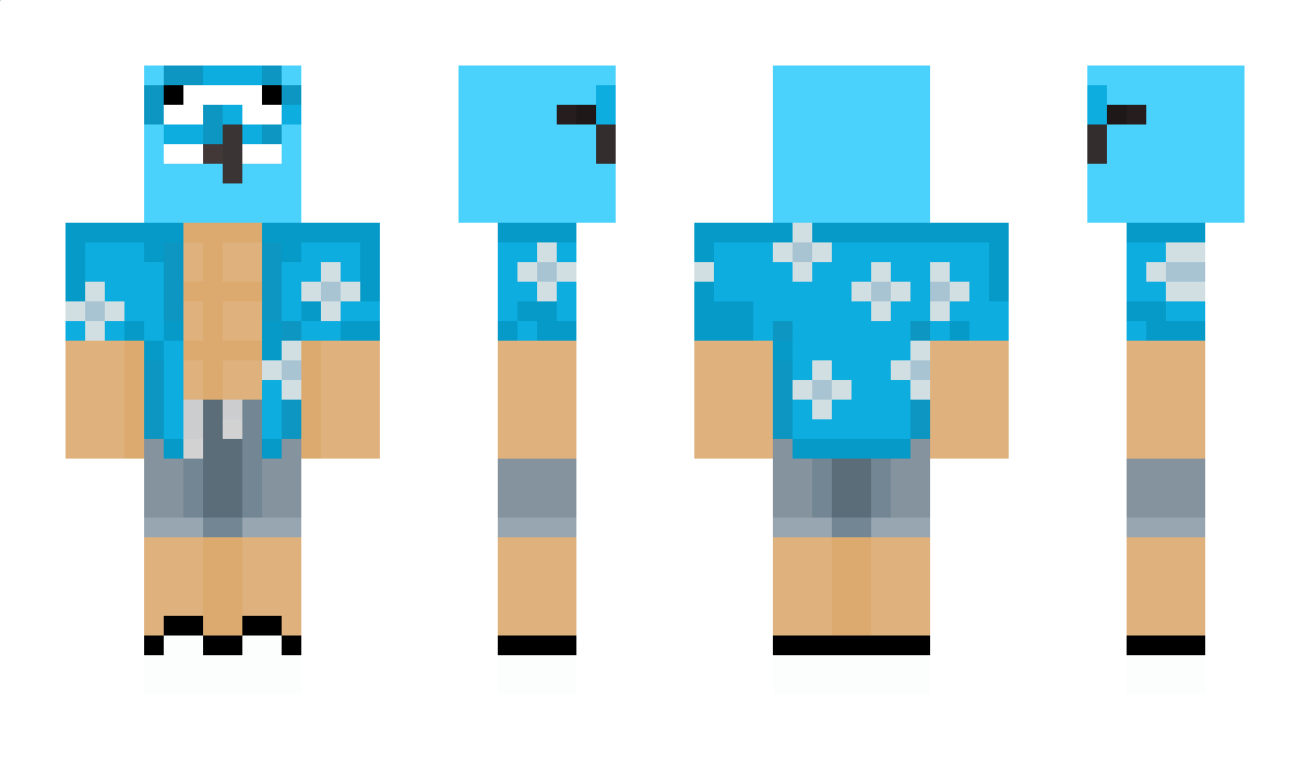 ropitlo Minecraft Skin