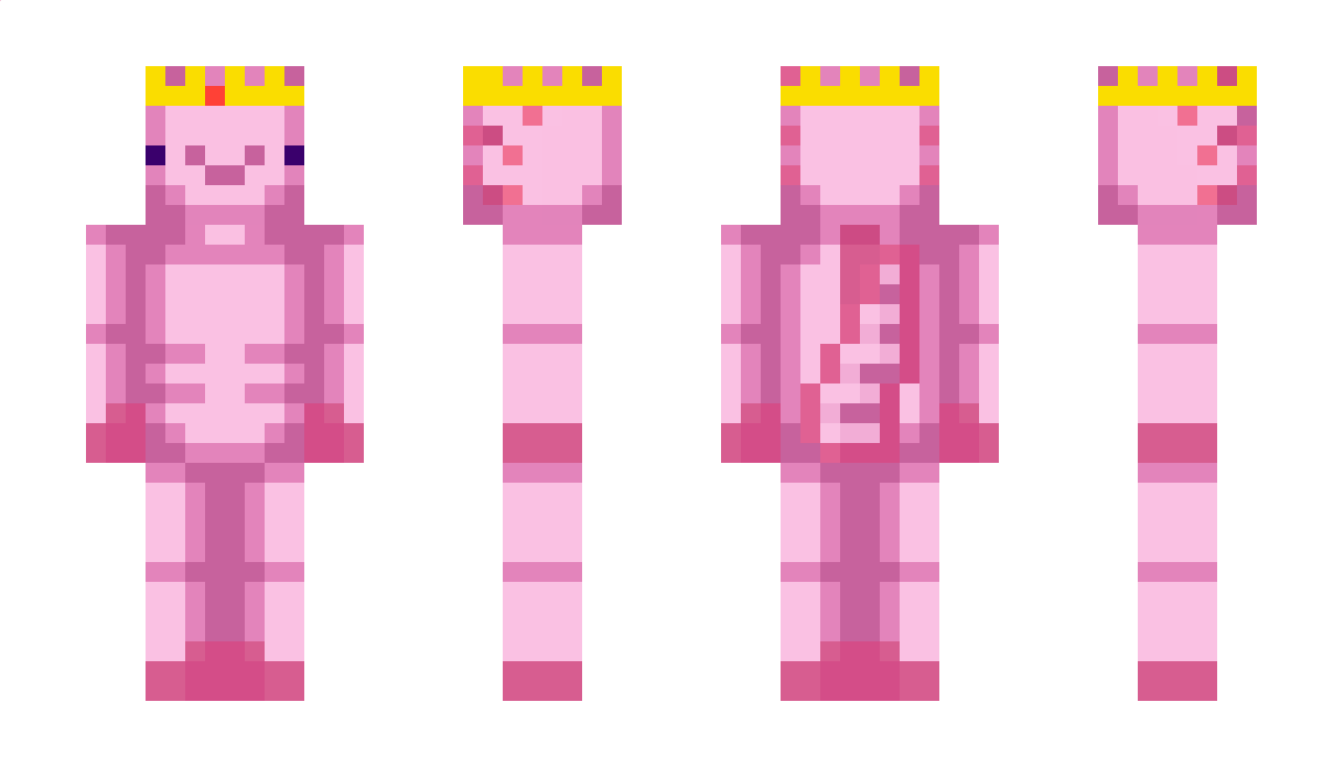 pierorzkowy224 Minecraft Skin