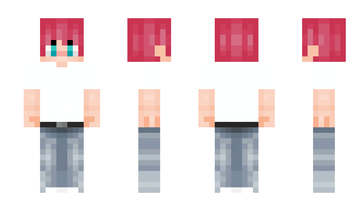 SecretNelet Minecraft Skin