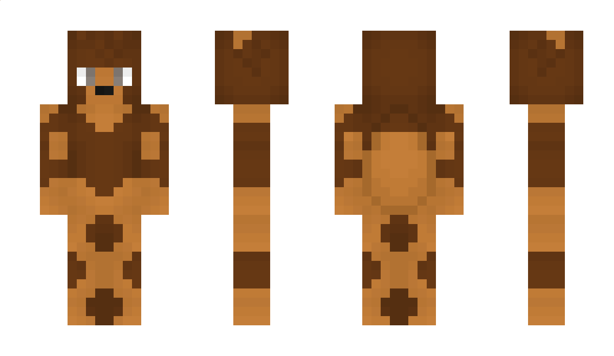 DartOlish Minecraft Skin