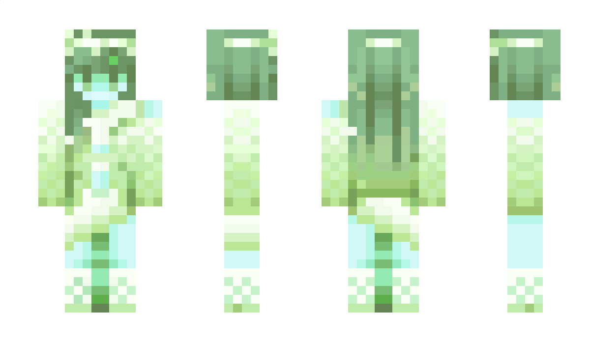 Etuoikea Minecraft Skin