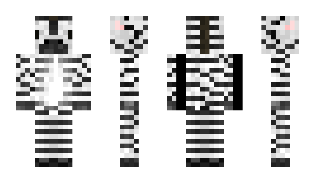 ZEBRA_TY Minecraft Skin