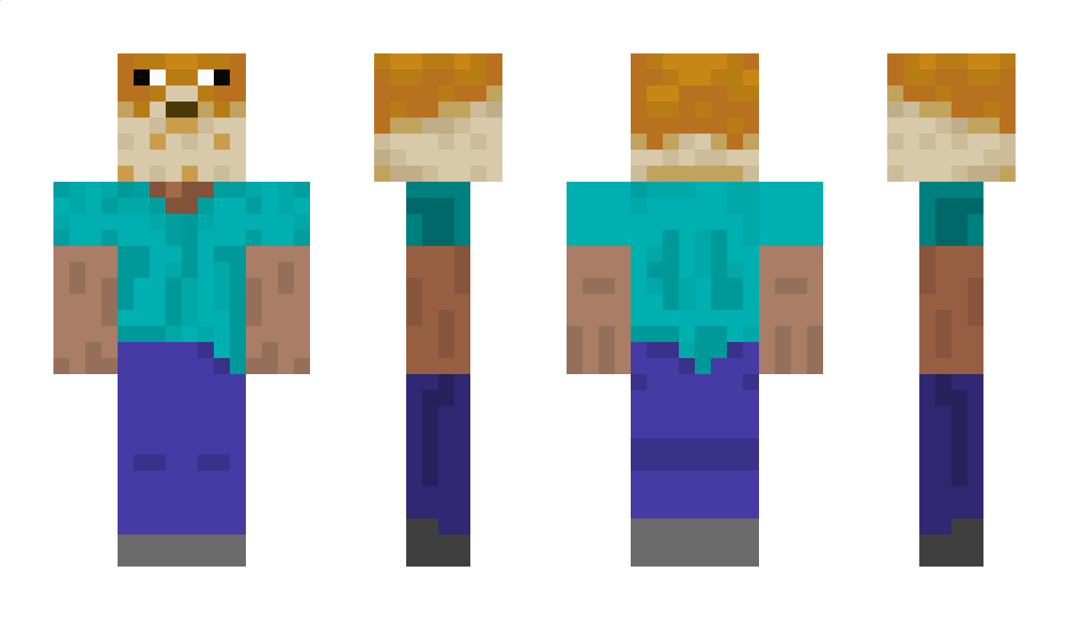 Hoodis Minecraft Skin