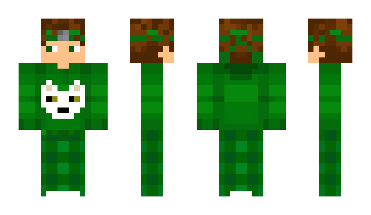 GatoTNG Minecraft Skin