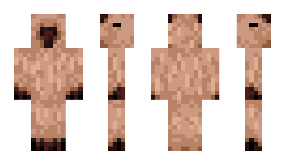 Sbeve Minecraft Skin
