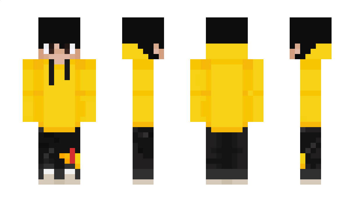 EliDragon12 Minecraft Skin