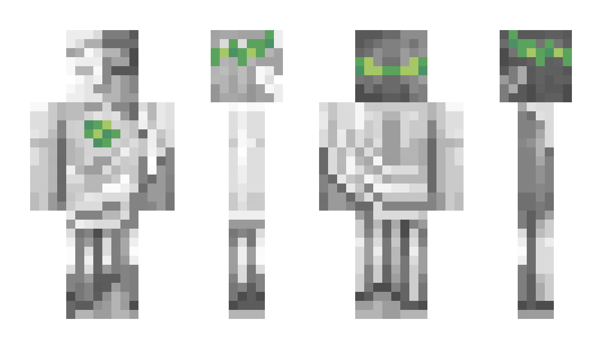 dreammss Minecraft Skin