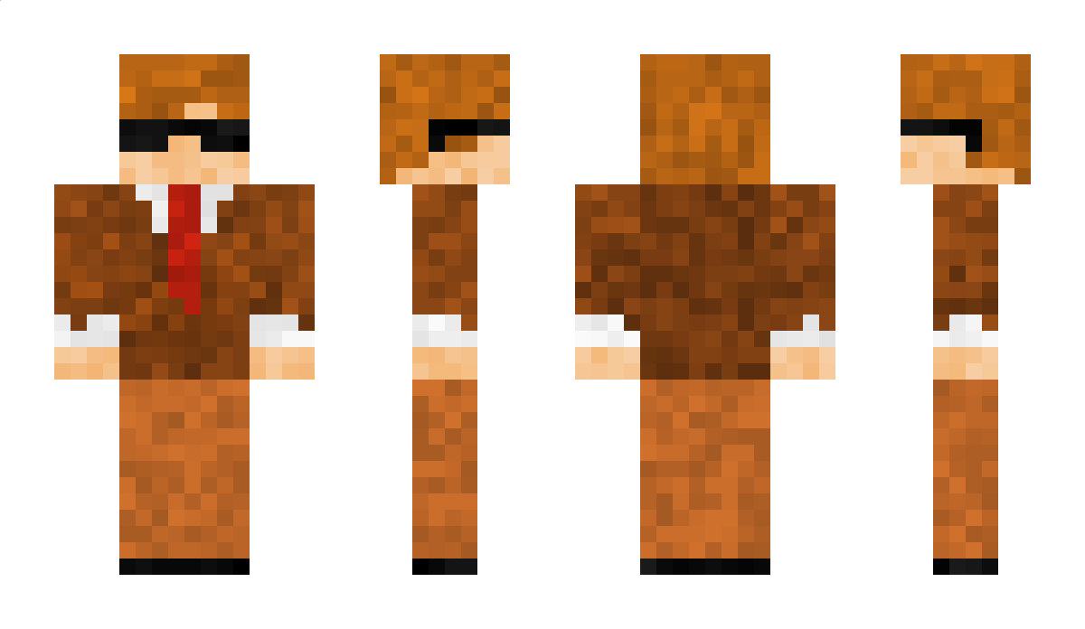 aviv0104 Minecraft Skin