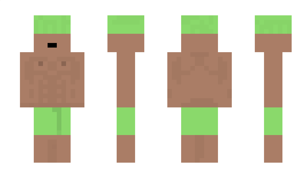 sen012315 Minecraft Skin