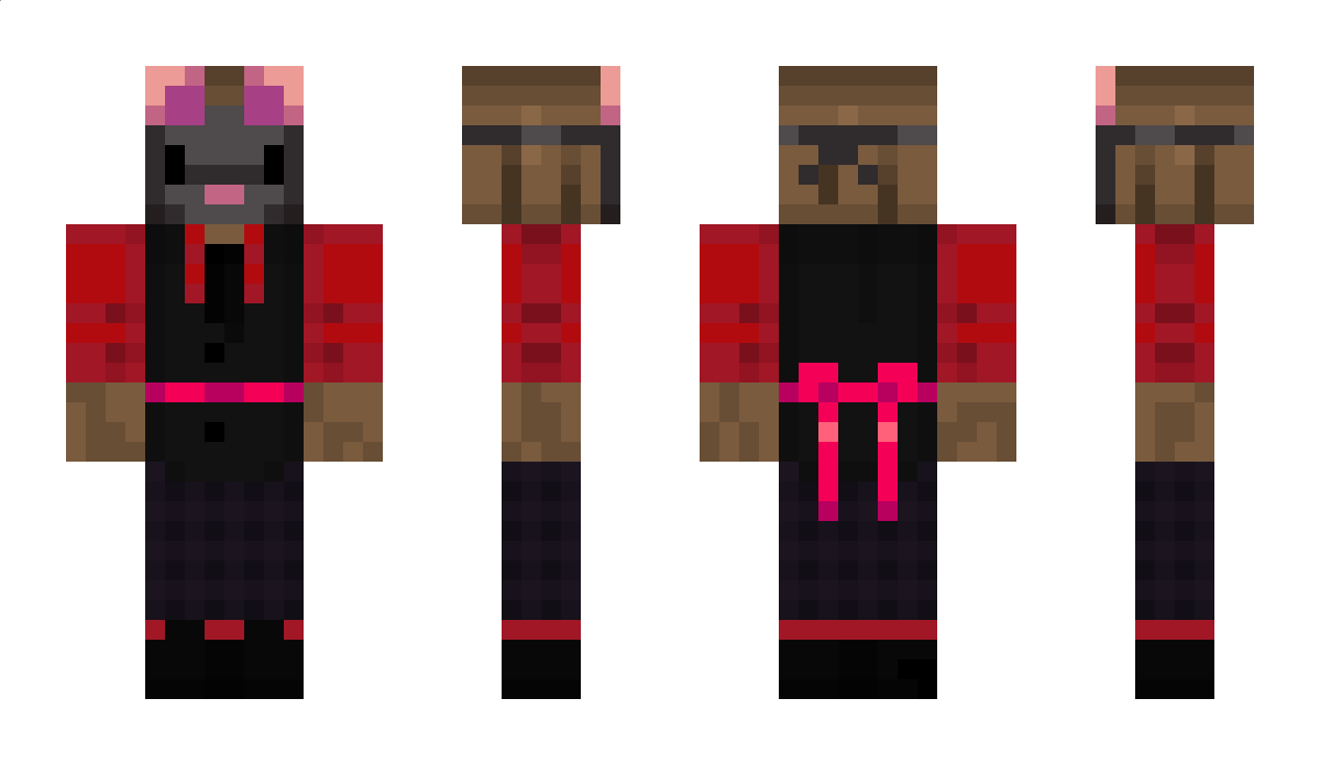 enderguard17 Minecraft Skin