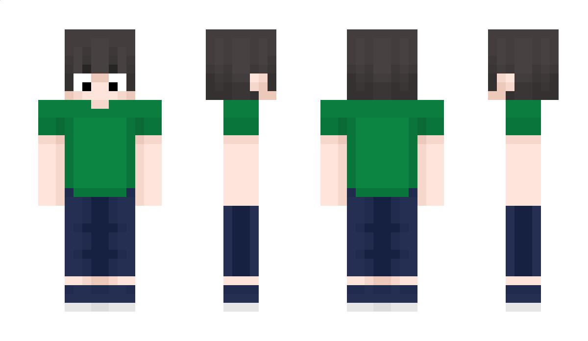 hesam_857537 Minecraft Skin