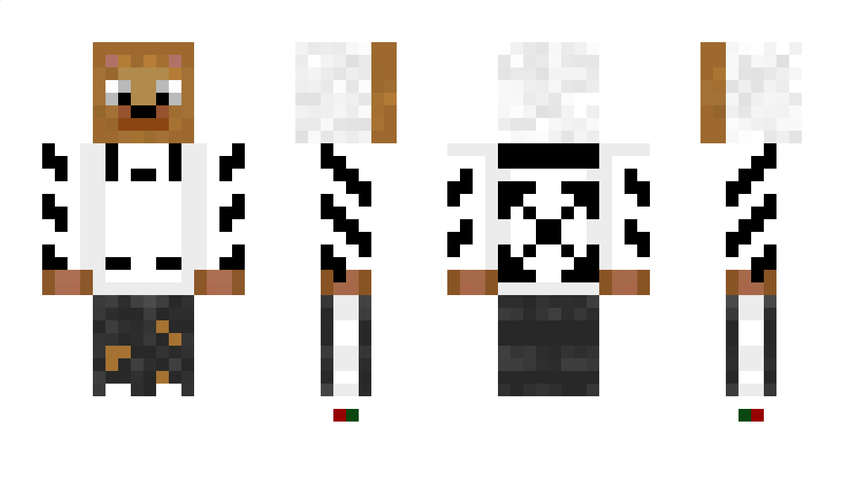 Hajson Minecraft Skin