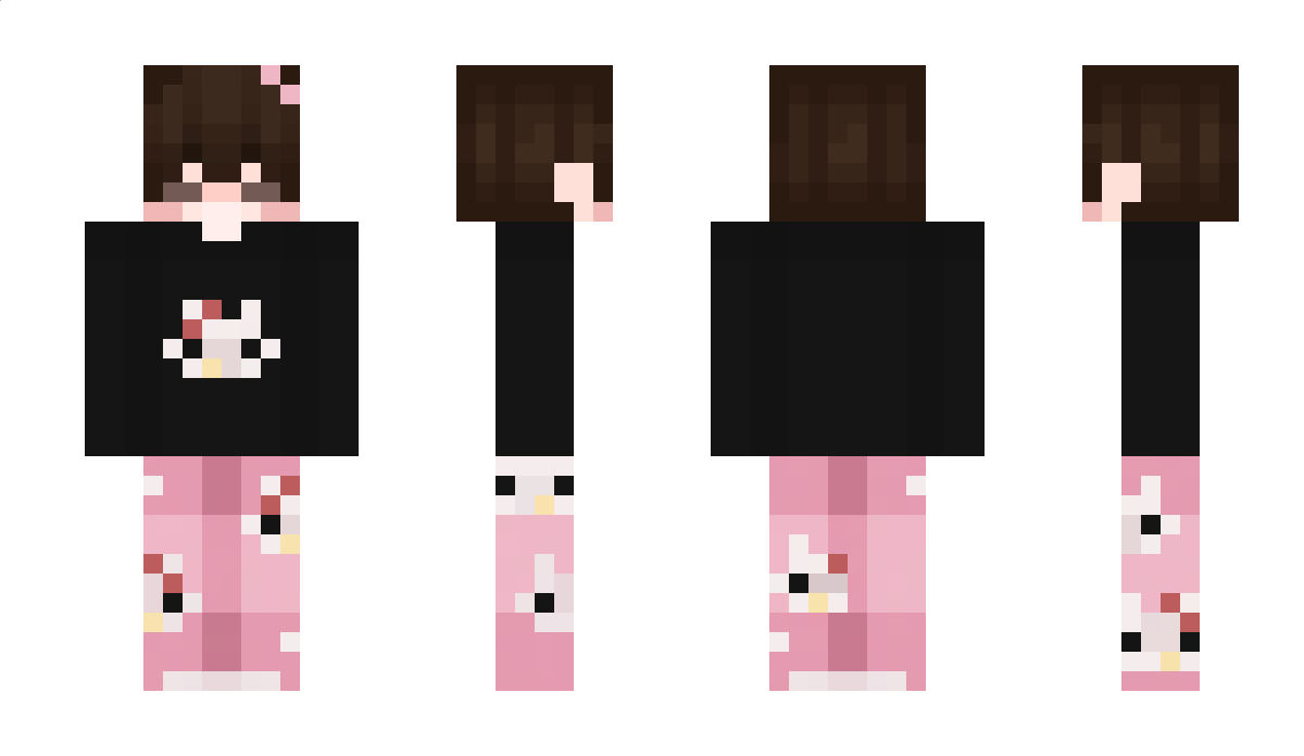 AW2070 Minecraft Skin