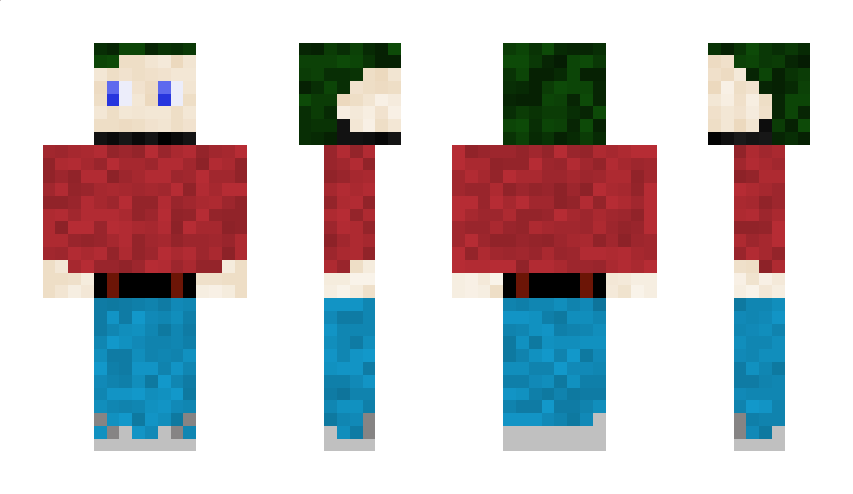 Insanecol Minecraft Skin