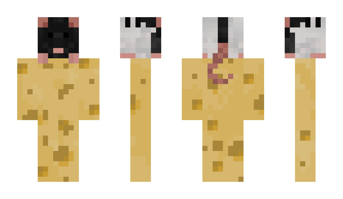 Dayakrisaichto Minecraft Skin