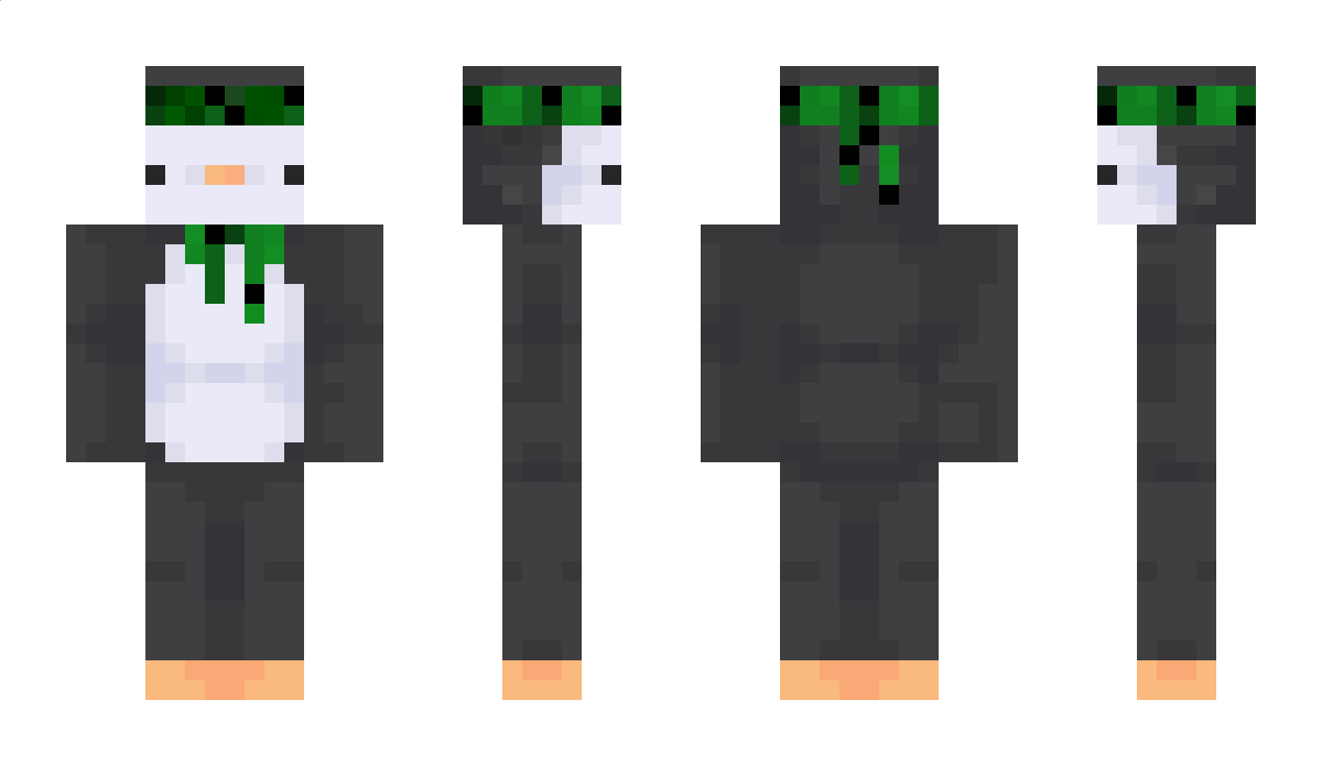 Cactern Minecraft Skin