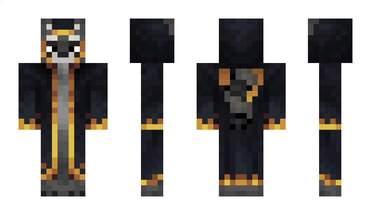 Raquoon Minecraft Skin