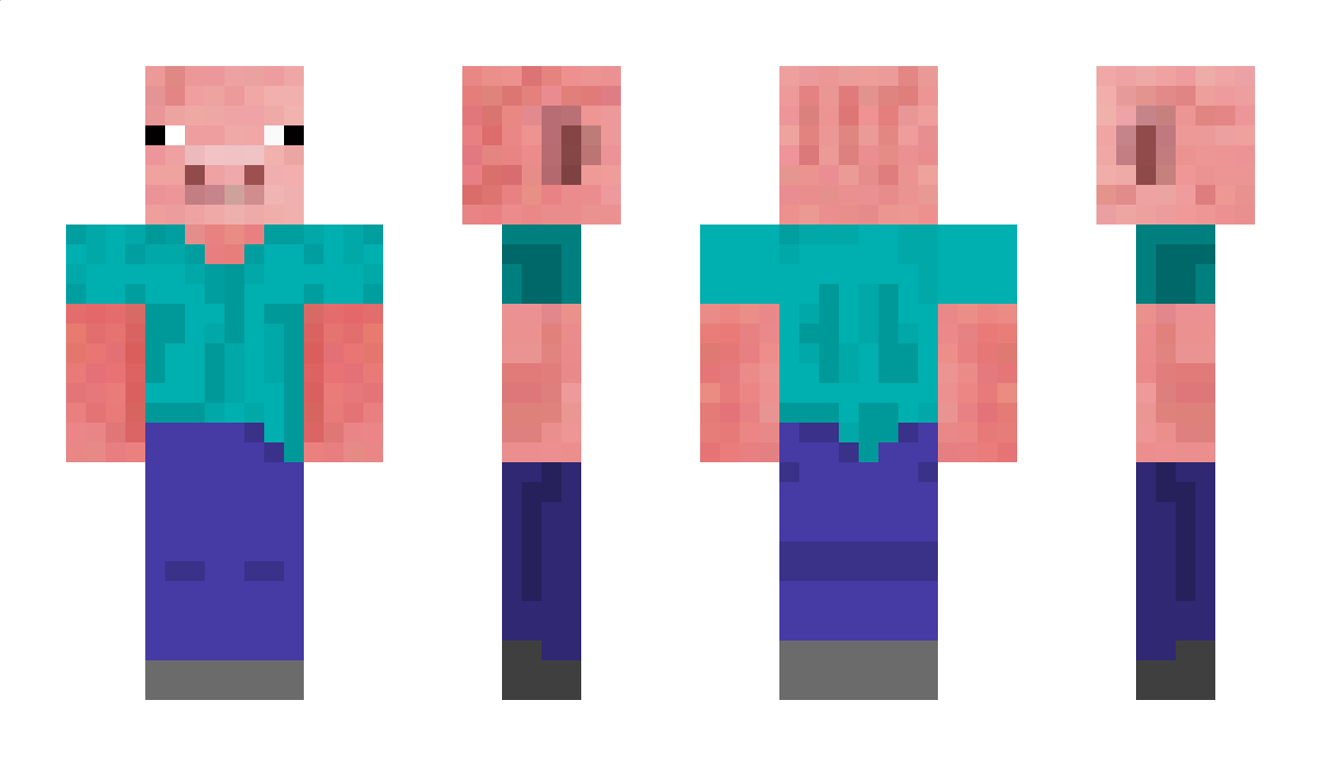 017N Minecraft Skin