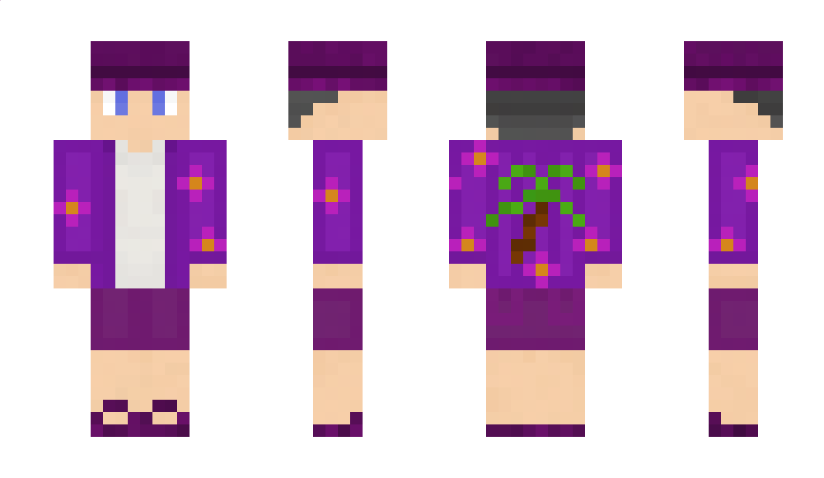 _PaulCraft_ Minecraft Skin