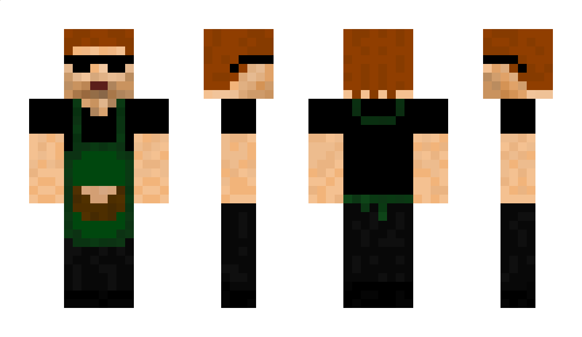 MoinM3ister Minecraft Skin