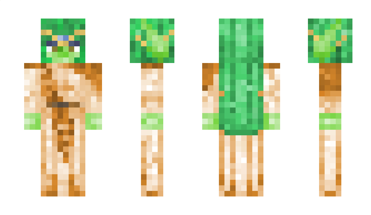 Raajo Minecraft Skin