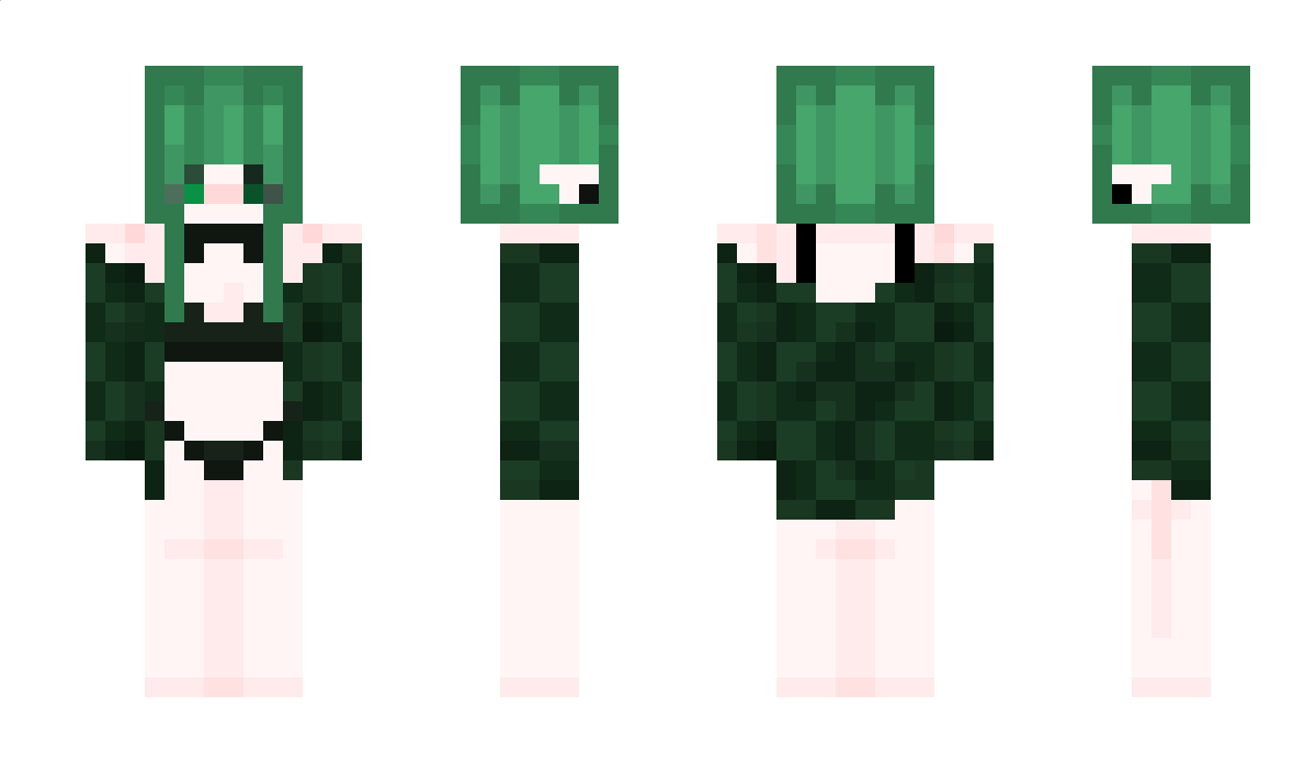 N5Rigged Minecraft Skin