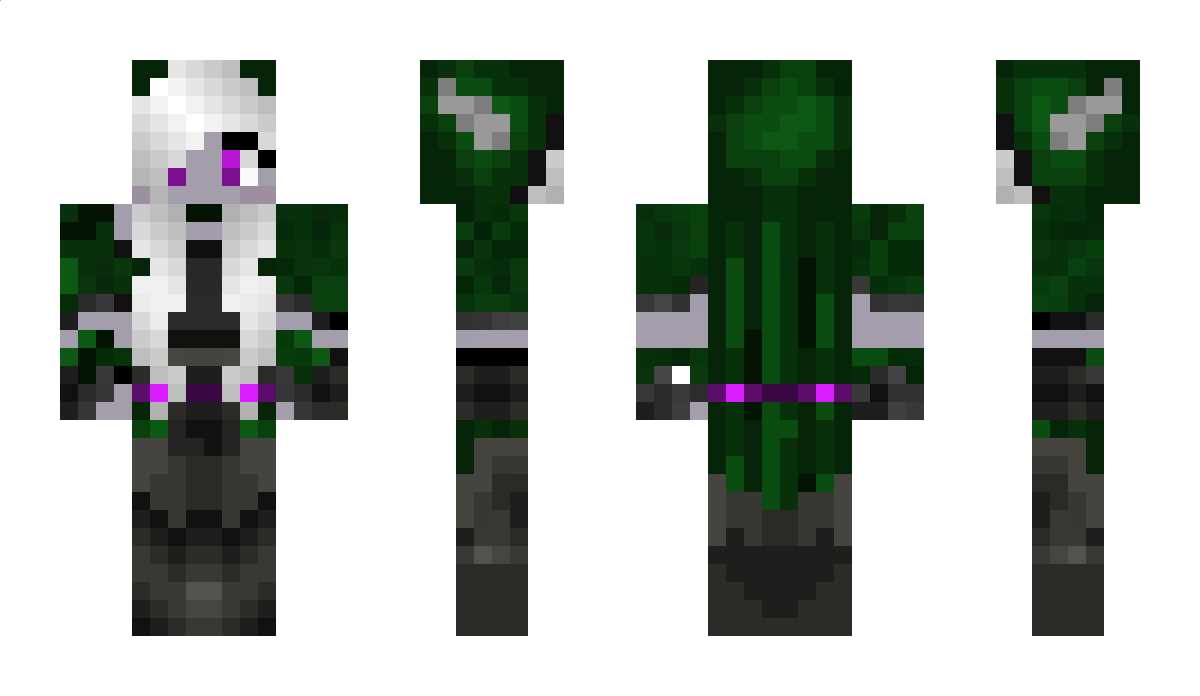 Bibbia_camTTV Minecraft Skin