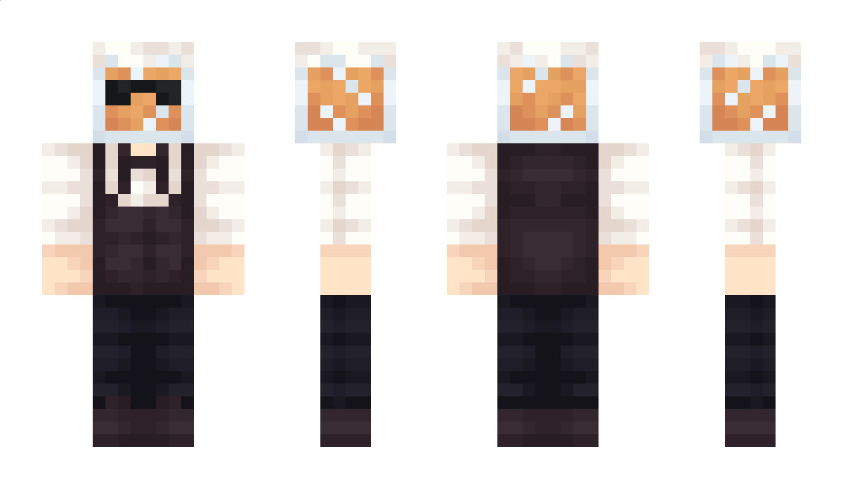 Fun313241 Minecraft Skin